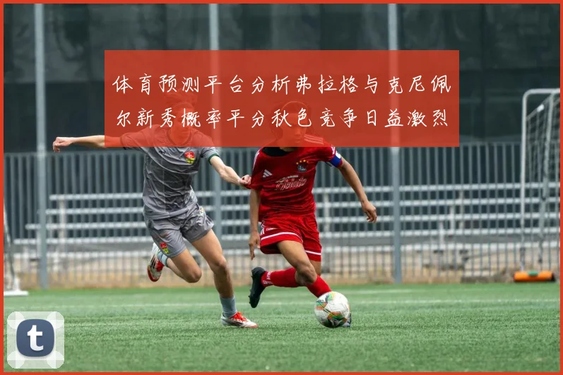 体育预测平台分析弗拉格与克尼佩尔新秀概率平分秋色竞争日益激烈