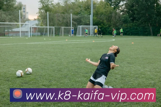 k8凯发体育平台生态图